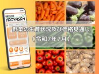 7月は多くの指定野菜で平年との価格差が生じる見込み！【青果市況情報アプリ「YAOYASAN」】