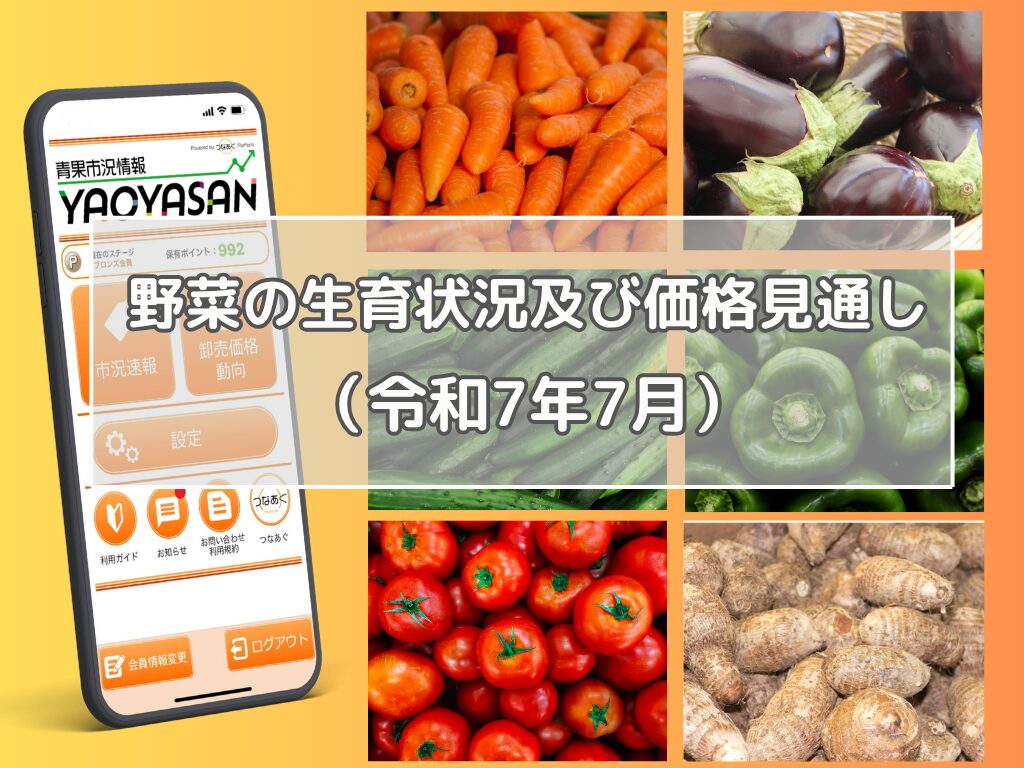 7月は多くの指定野菜で平年との価格差が生じる見込み！【青果市況情報アプリ「YAOYASAN」】