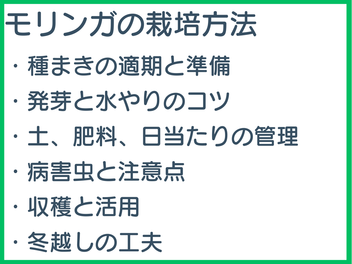 モリンガの栽培方法