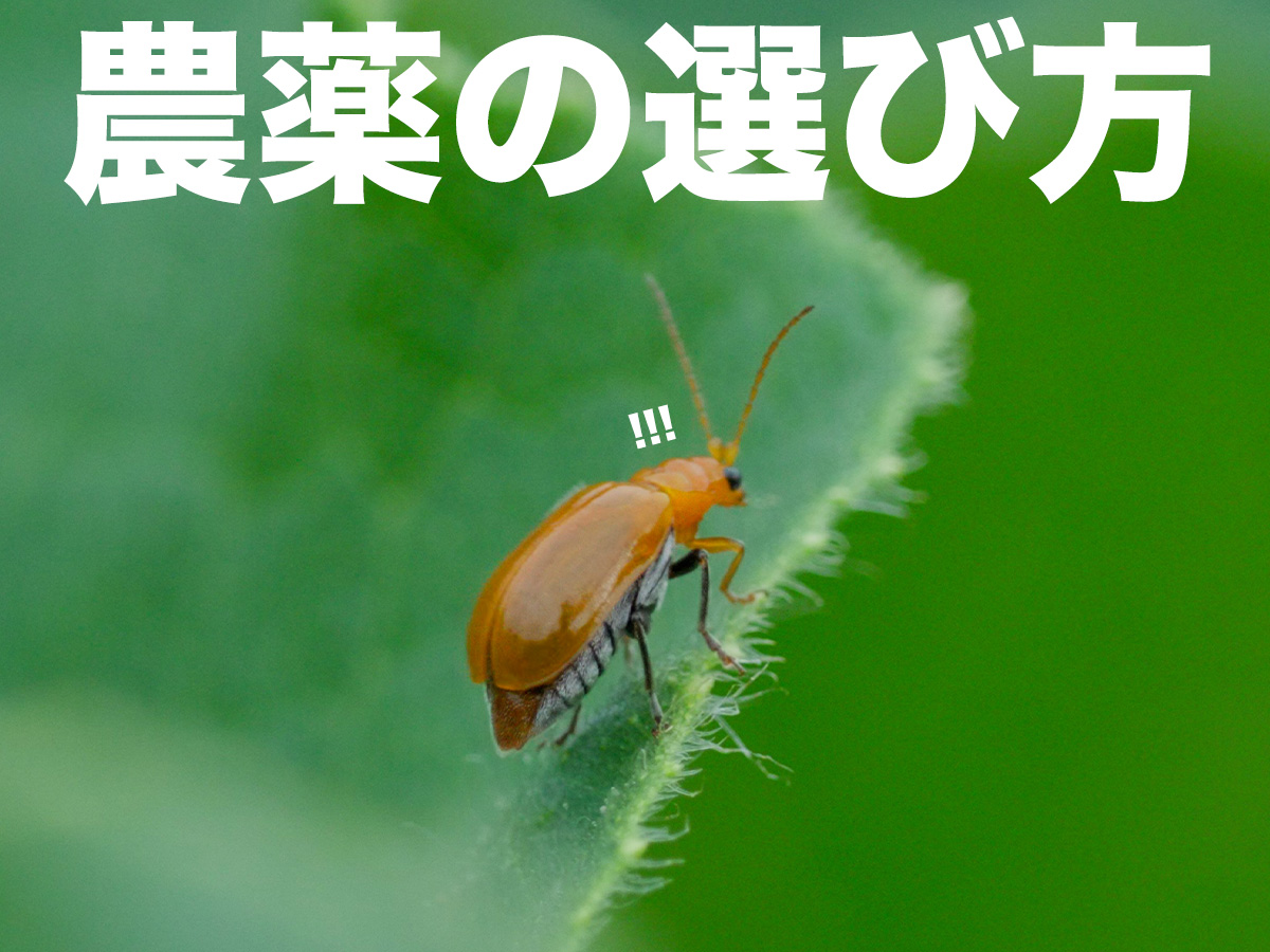 「農薬」を正しく理解する。殺虫剤と殺菌剤の違いがわかれば、売り場で迷子にならない