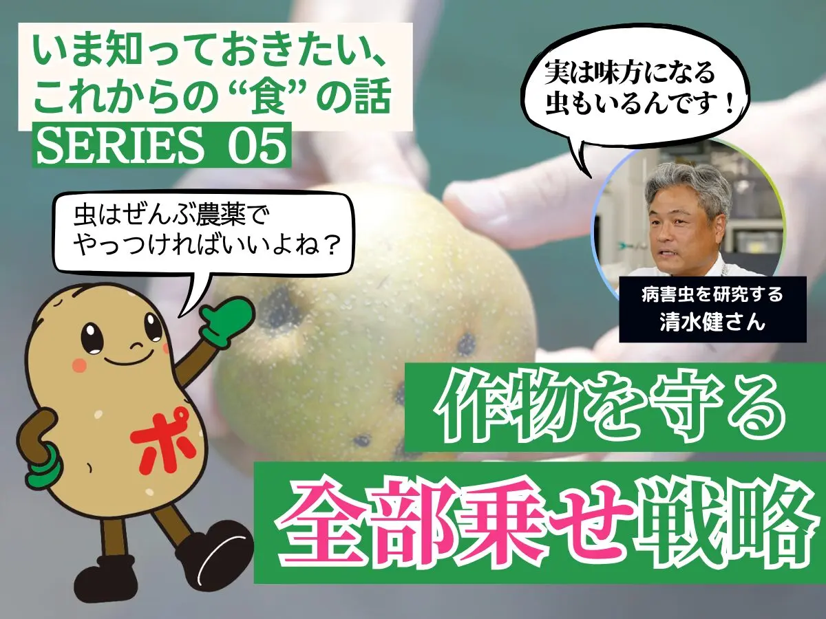 サンプル